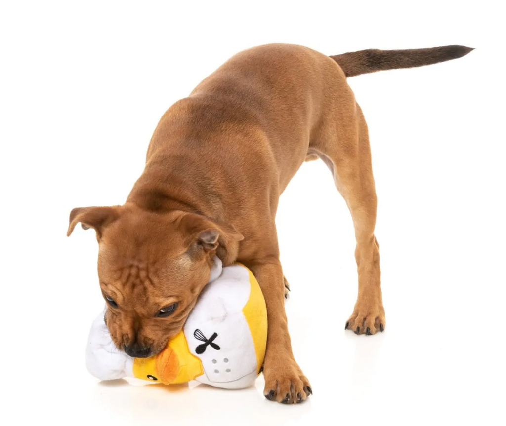 Fuzzyard Duck - Gordon Quacksay