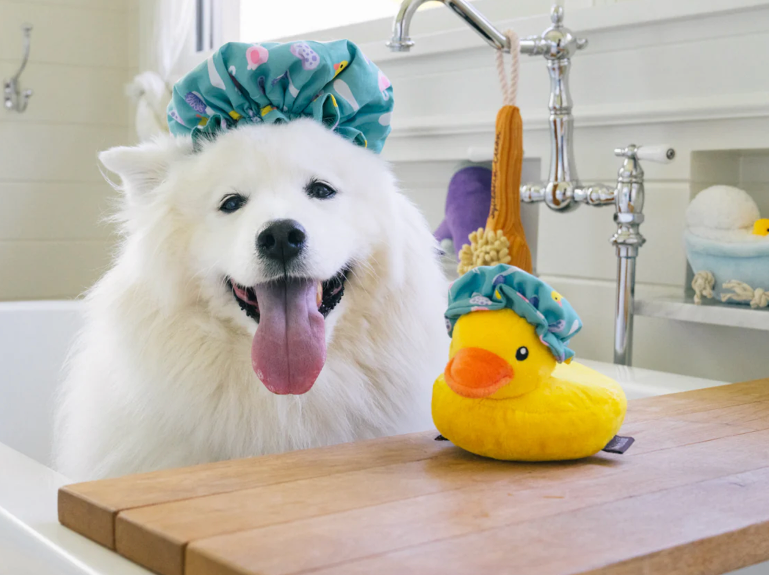 Shower Quack