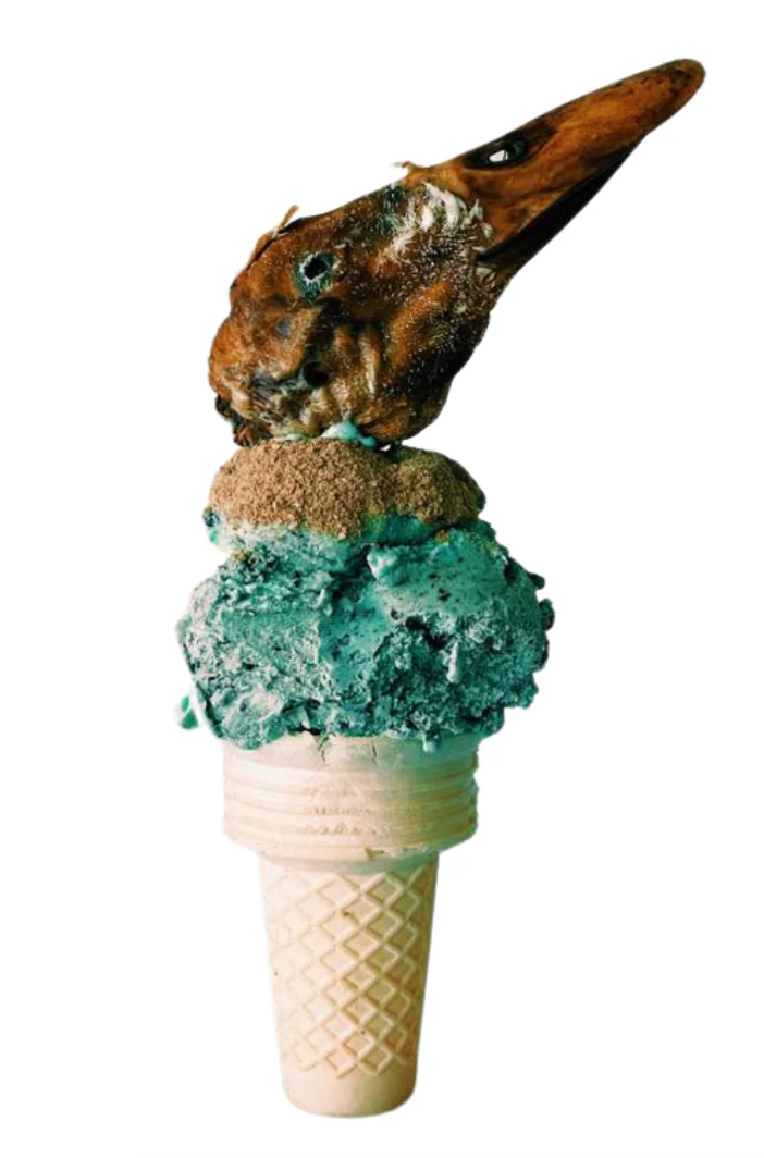 Duck liver meal topper freeze dried