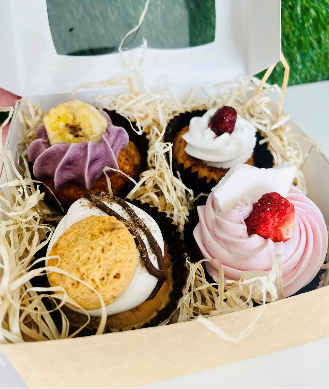 Luxury pupcake 4 box for dogs