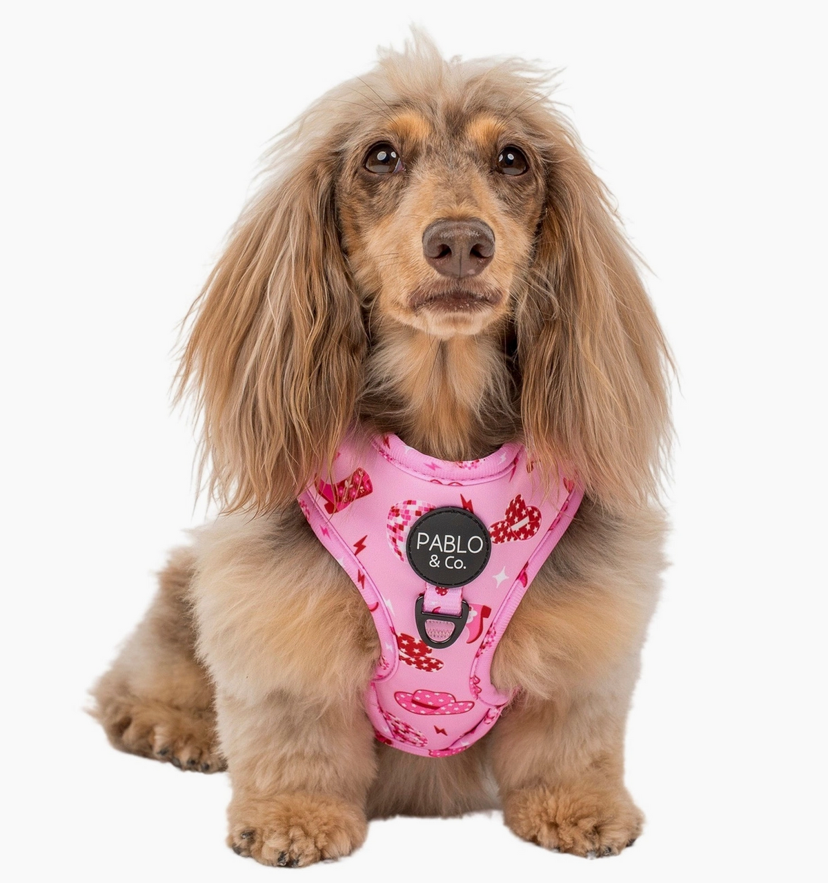 Disco Cowgirl Adjustable Dog Harness