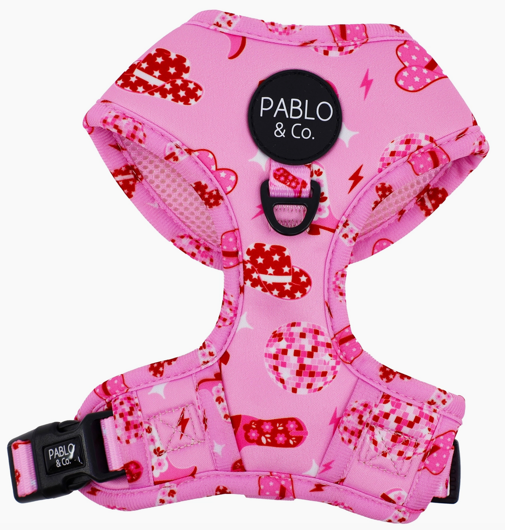Disco Cowgirl Adjustable Dog Harness