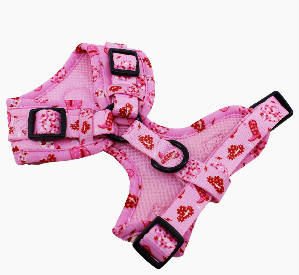 Disco Cowgirl Adjustable Dog Harness