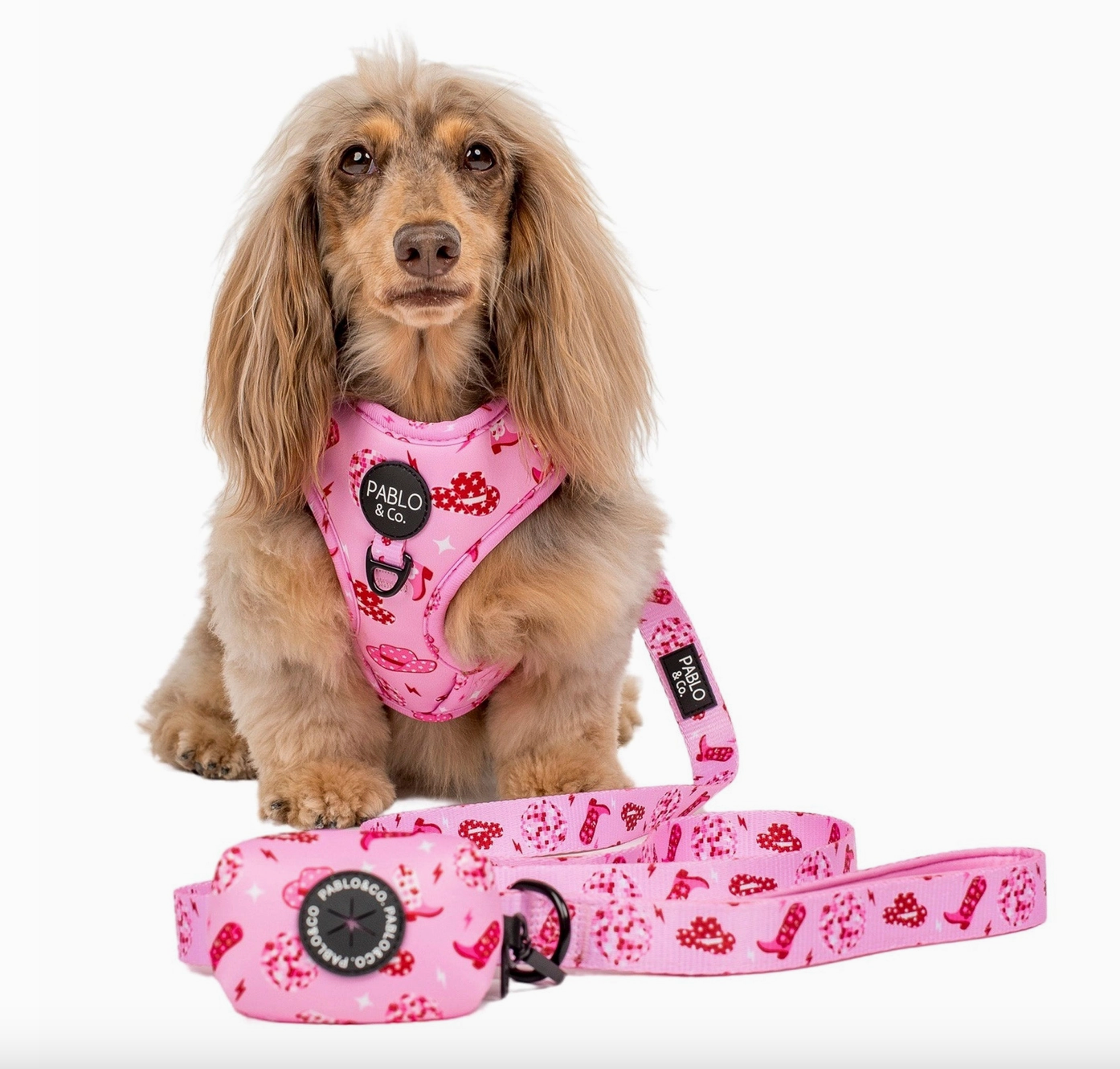 Disco cowgirl Dog Poop Bag Holder