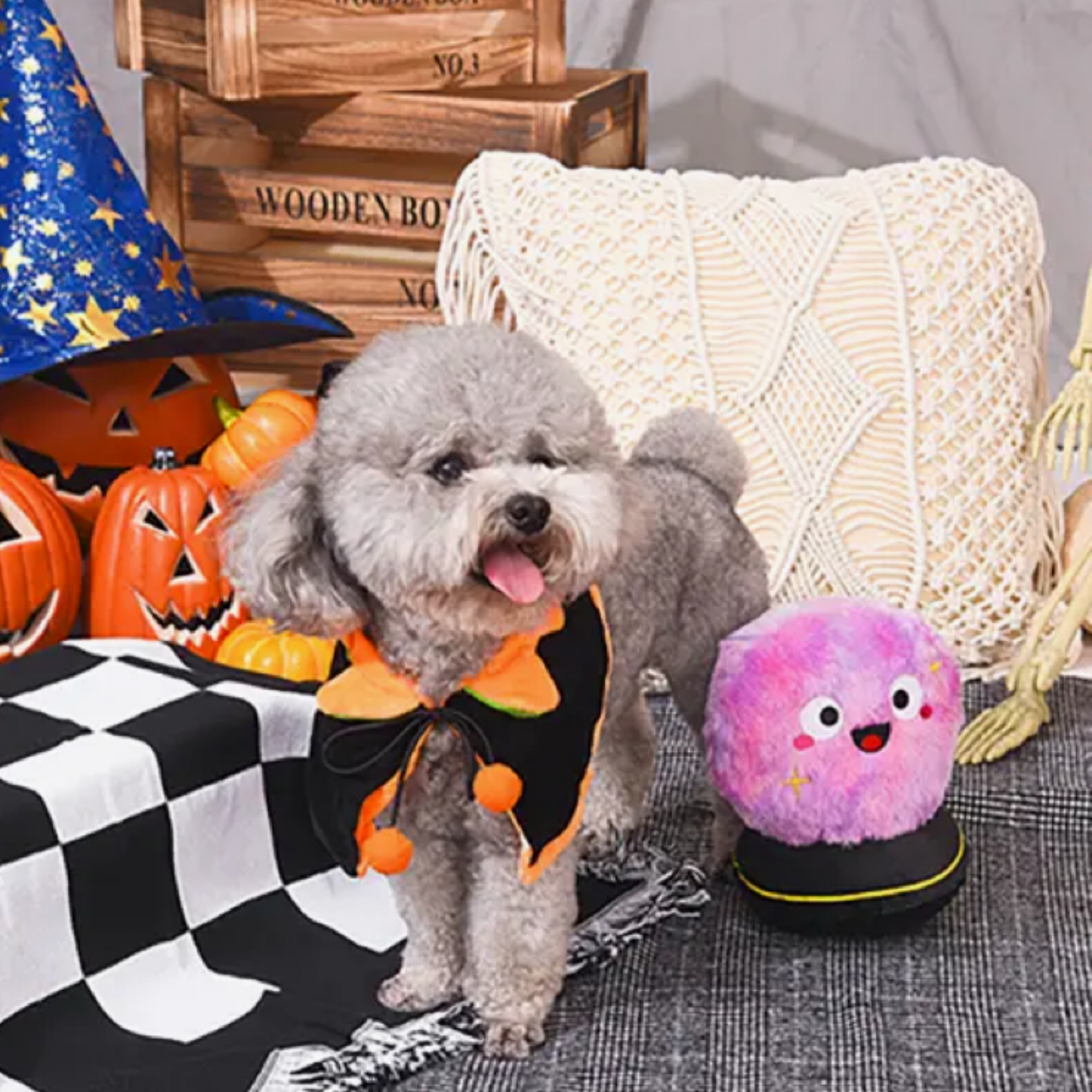 Withy dog Chrystal Ball toy