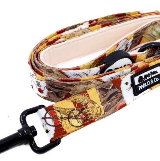 Harry Potter leash