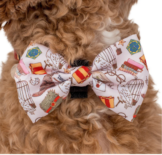 Harry Potter: Bow Tie