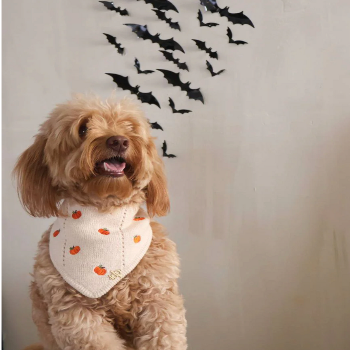 Pumpkin Autumn Bandana