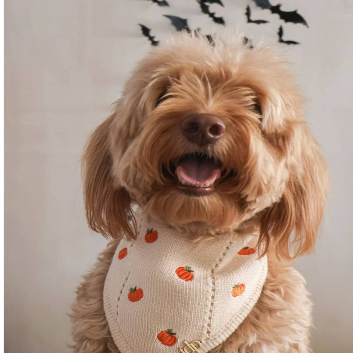Pumpkin Autumn Bandana