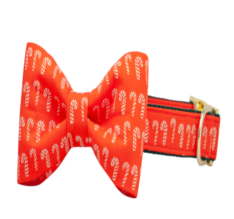 Candy Lane bow tie dog collar