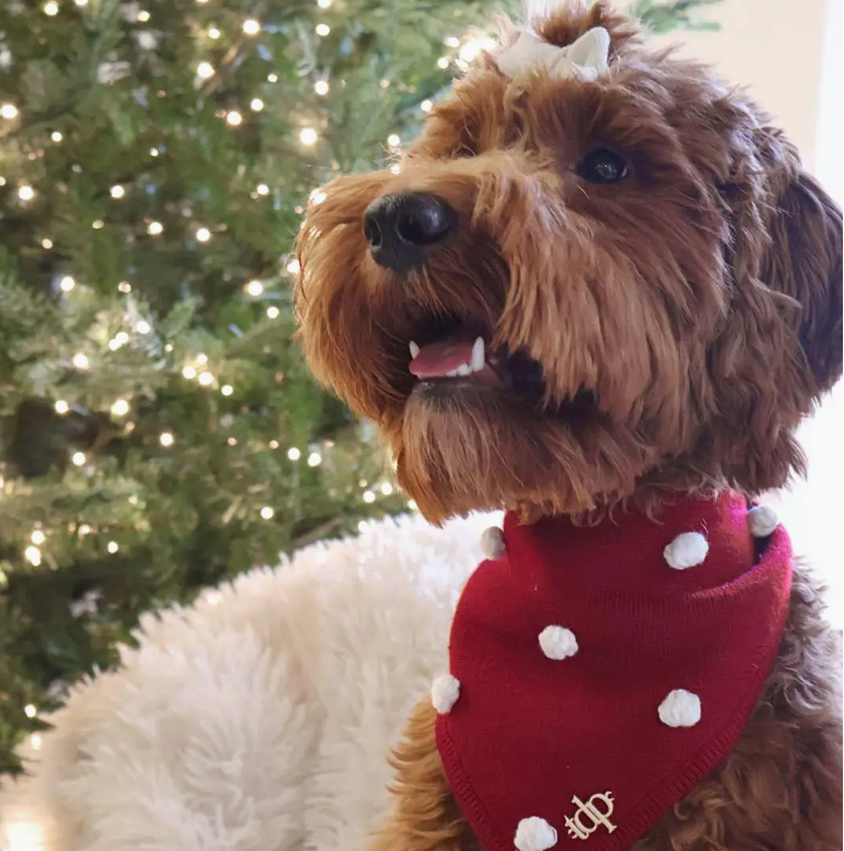 Luxury Holiday cheer knitted  dog bandana