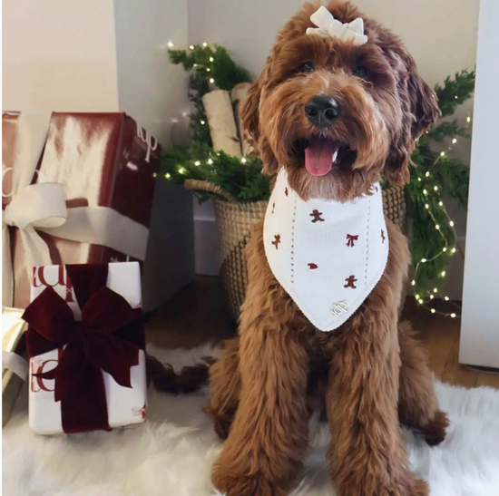 Sugar and spice knitted dog bandana