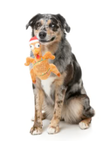 Gobble til you wobble Turkey dog toy