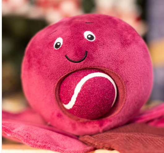 Red cabbage nose work dog  toy