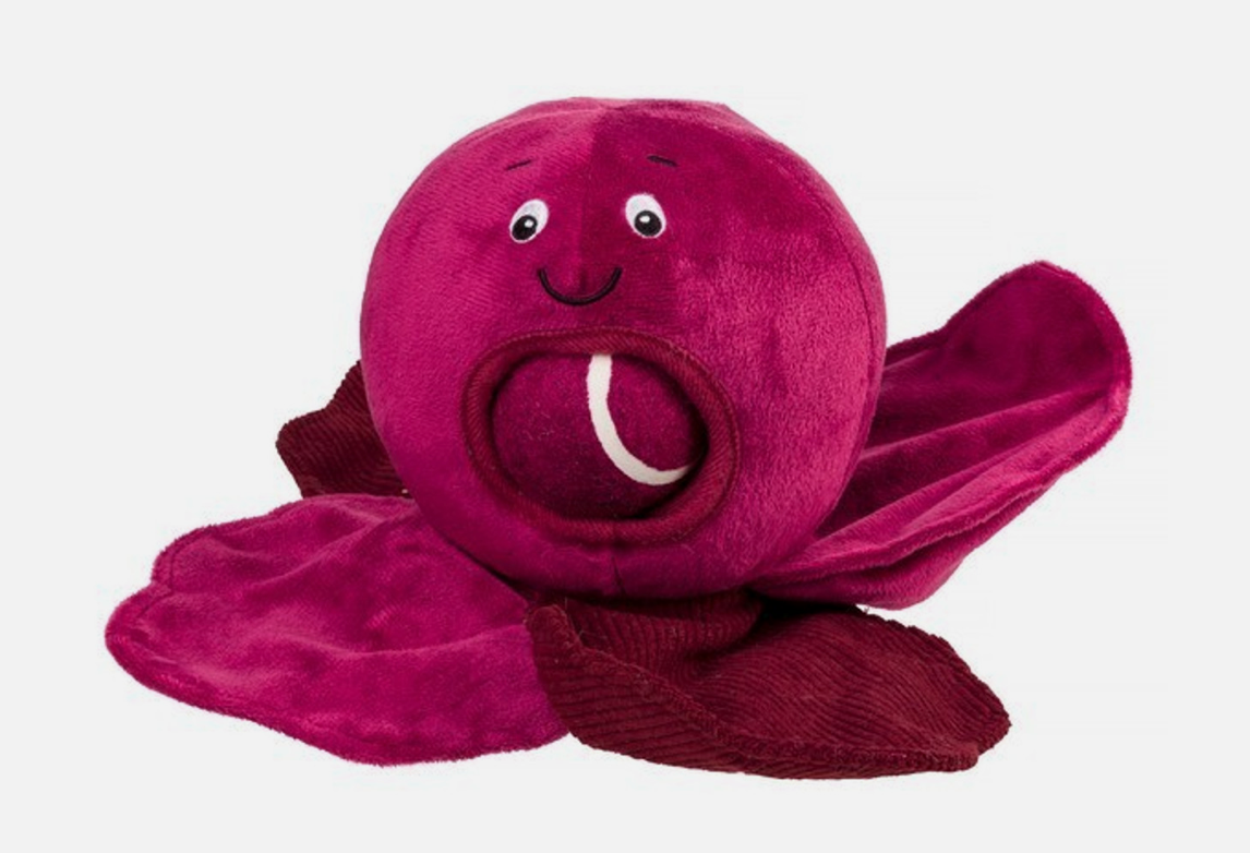 Red cabbage nose work dog  toy