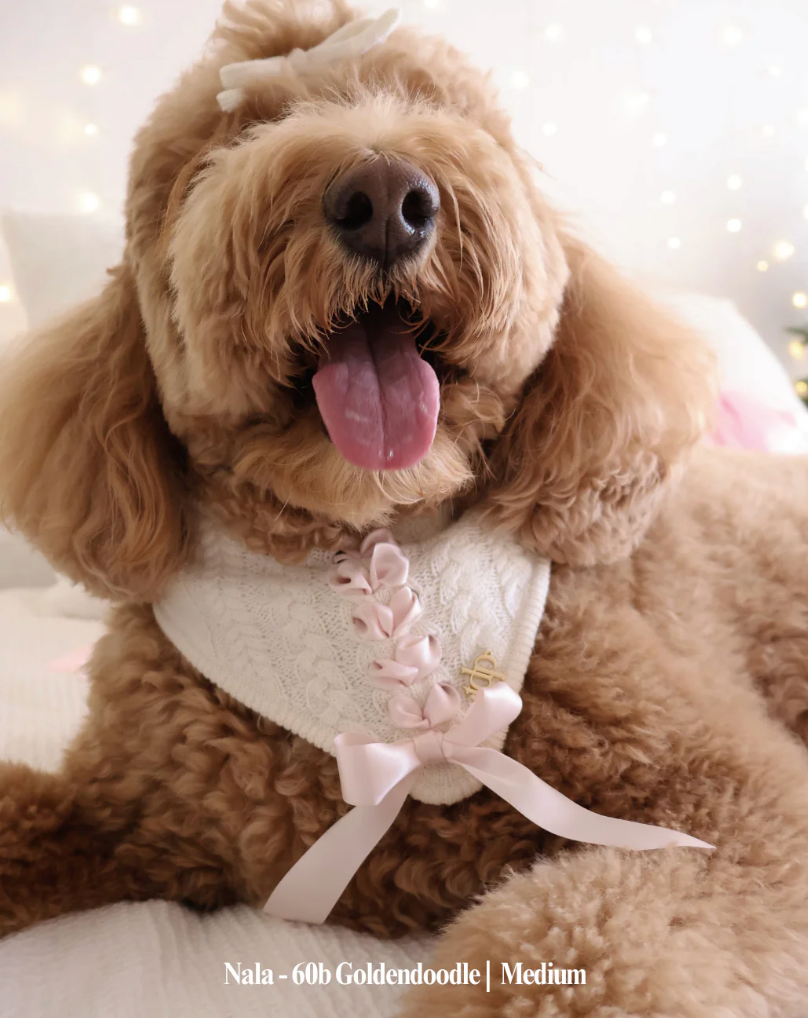 Deluxe pup knitted bandana - Clara Bow Bandana