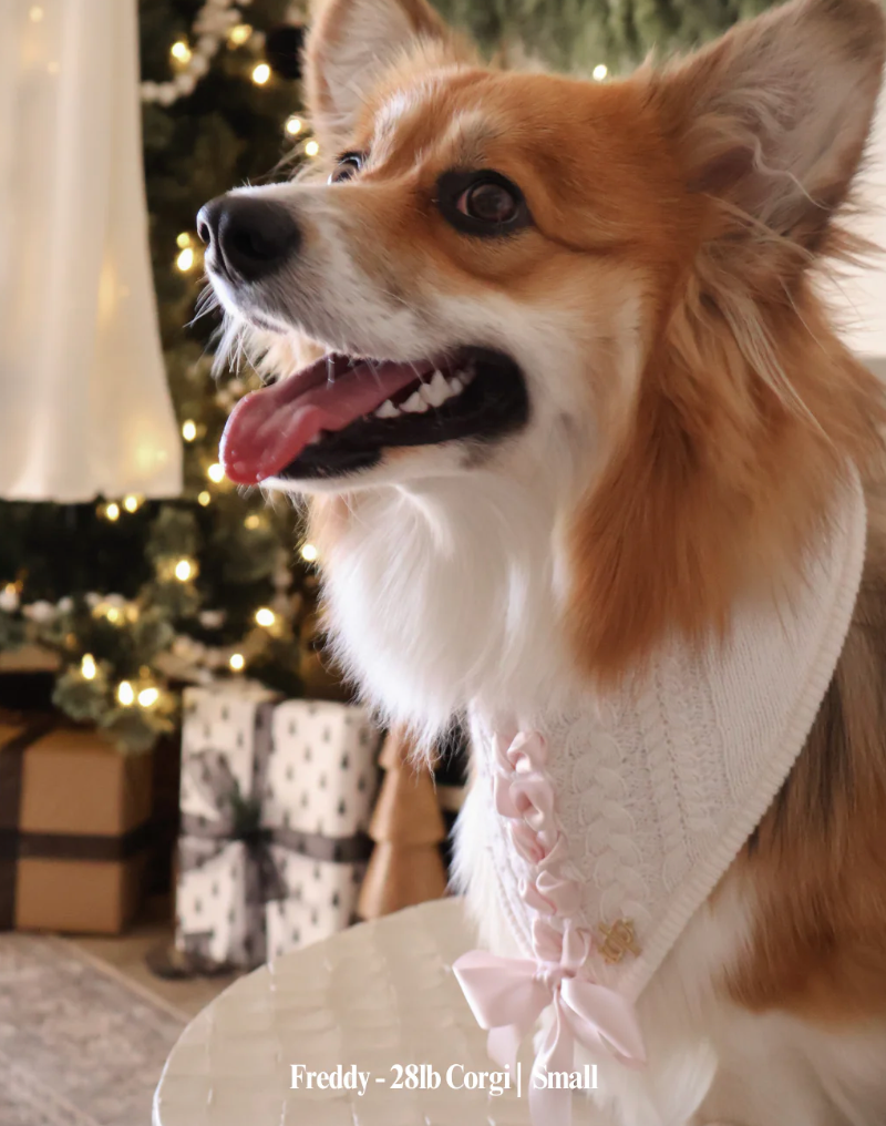 Deluxe pup knitted bandana - Clara Bow Bandana