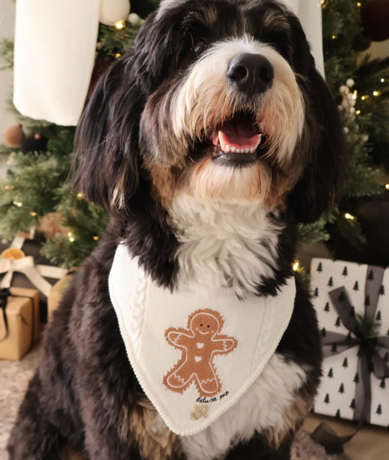 Deluxe pup knitted bandana - gingerbread