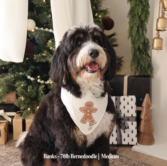 Deluxe pup knitted bandana - gingerbread