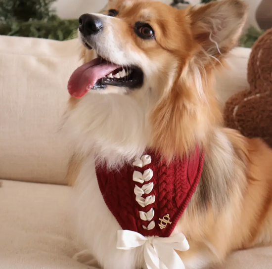 Deluxe pup knitted bandana -Holly Bow Bandana