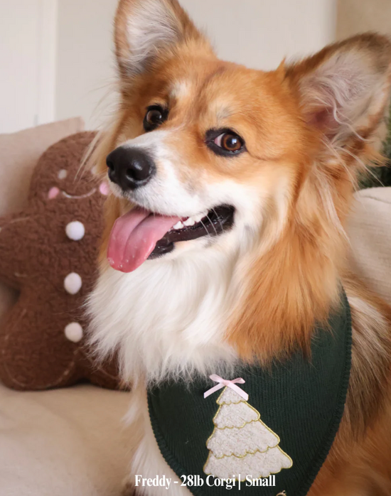 Deluxe pup knitted bandana - Green Family Tree