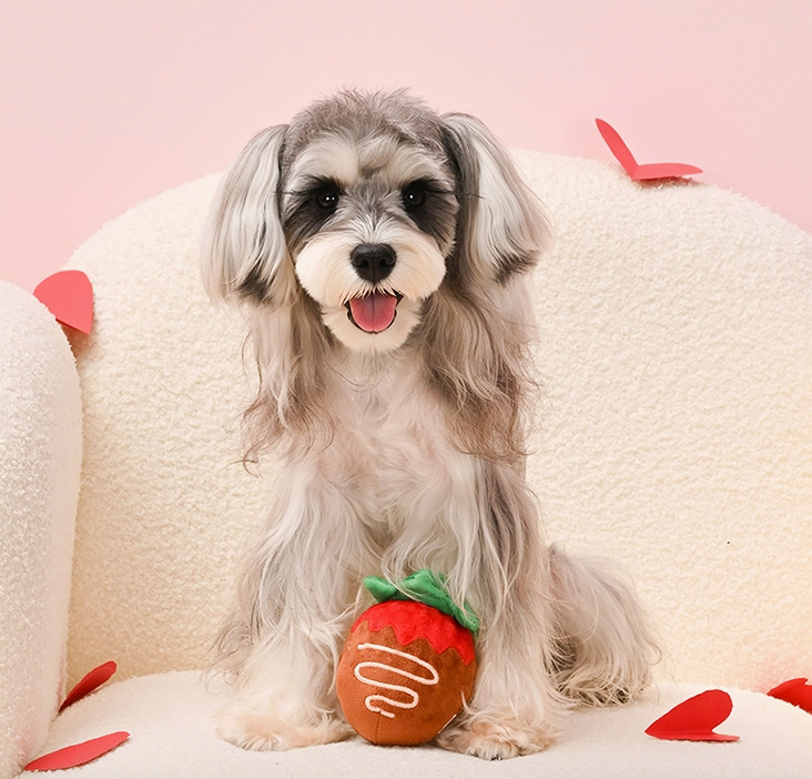 Woof love-Strawberry chocolate ball