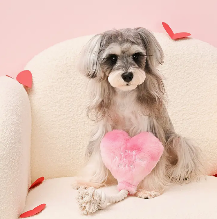 Woof love-Love is in the air dog toy