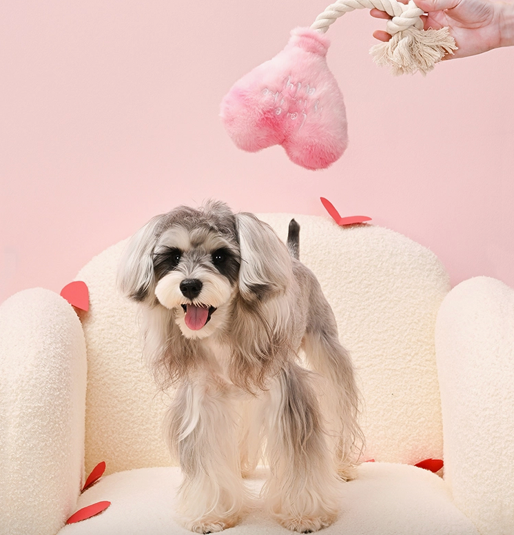 Woof love-Love is in the air dog toy
