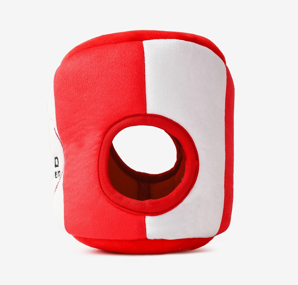 Fried chicken burrow