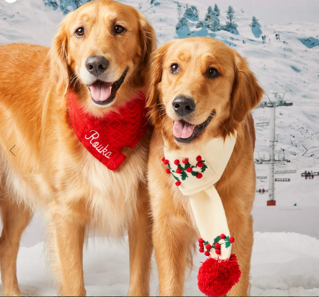 Holly Bobble Knit Scarf