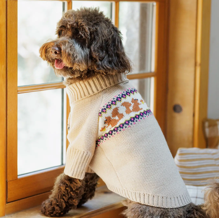 Squirrel Knit Jumper