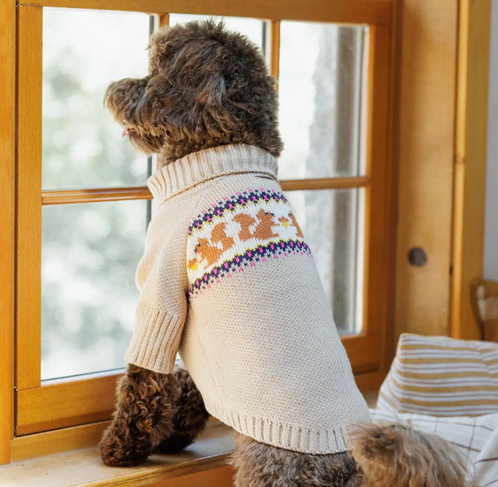Squirrel Knit Jumper