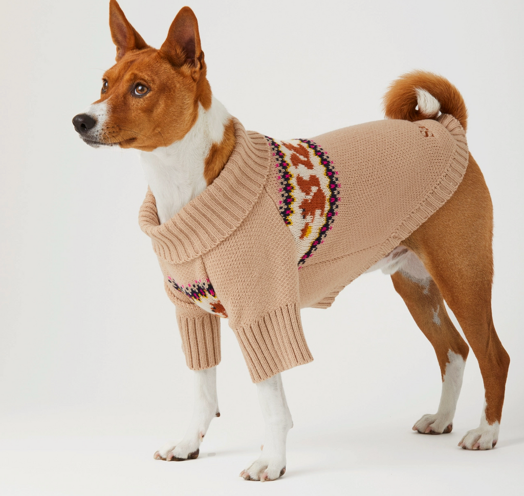 Squirrel Knit Jumper