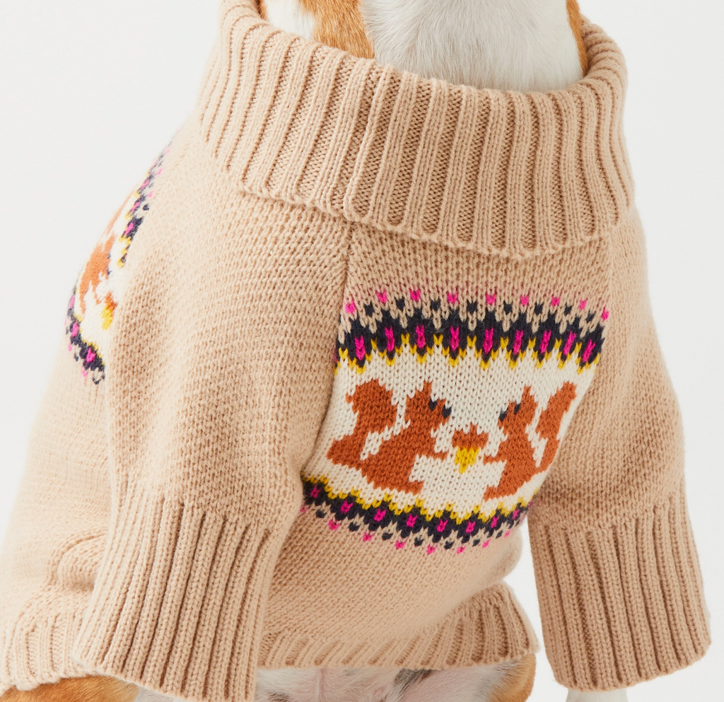 Squirrel Knit Jumper