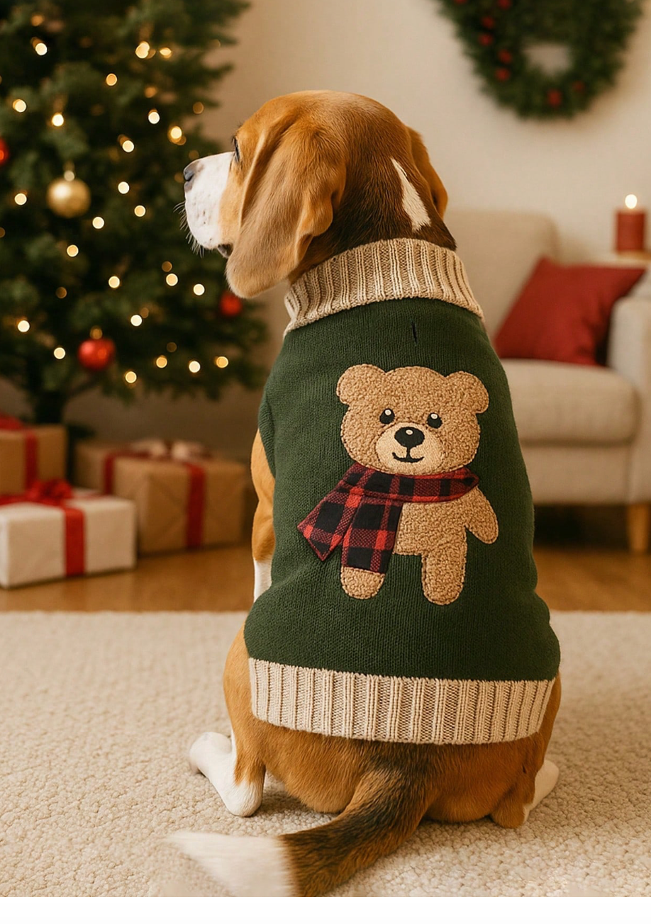 Teddy Jumper