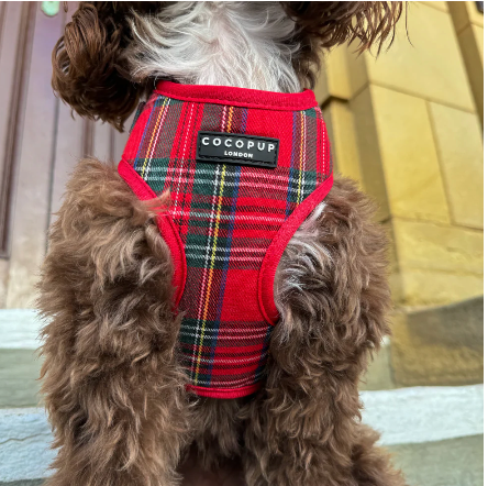 Cocopup Tartan harness