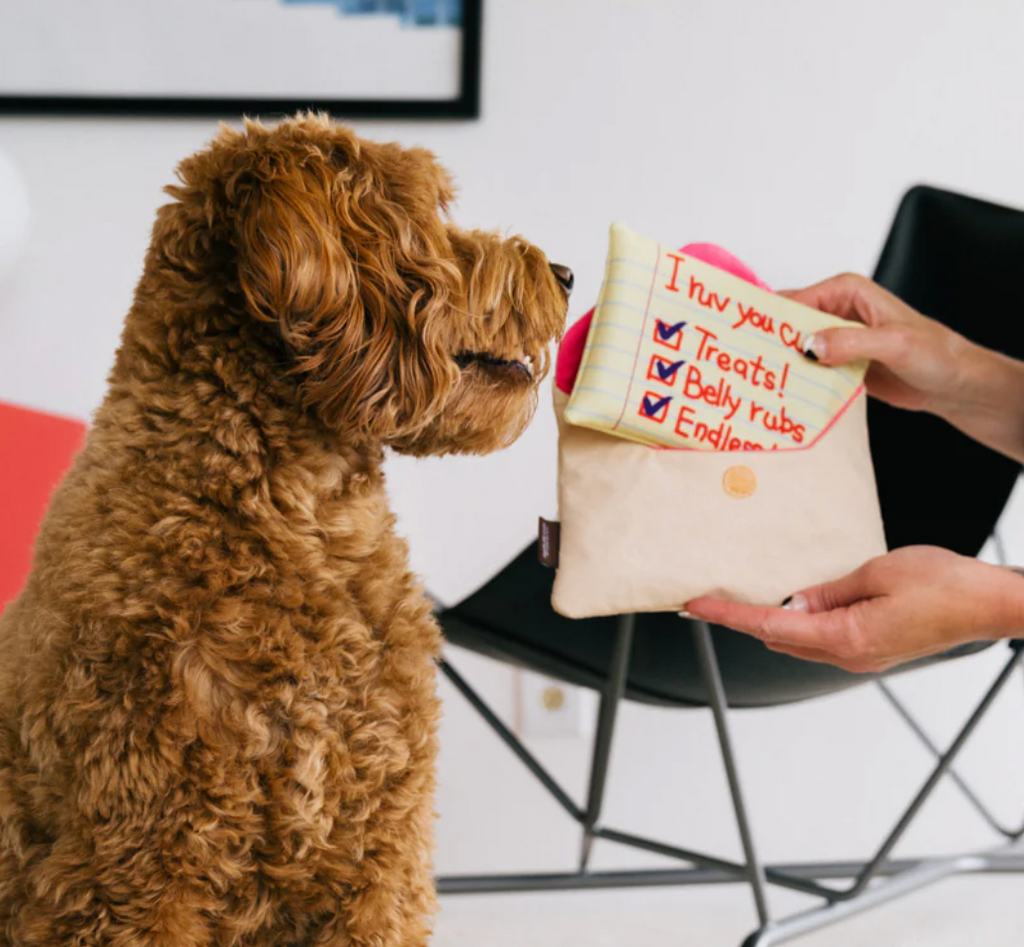 Love bug letter dog toy