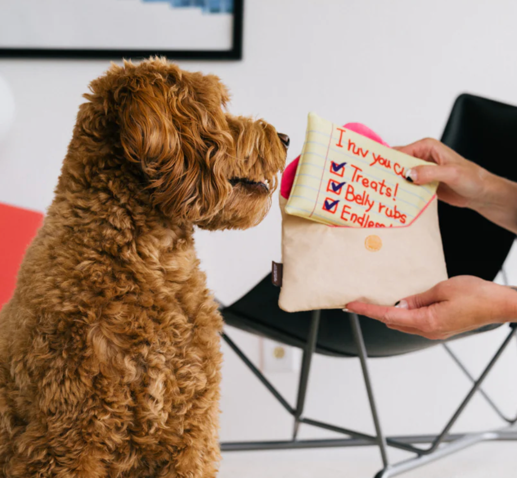 Love bug letter dog toy