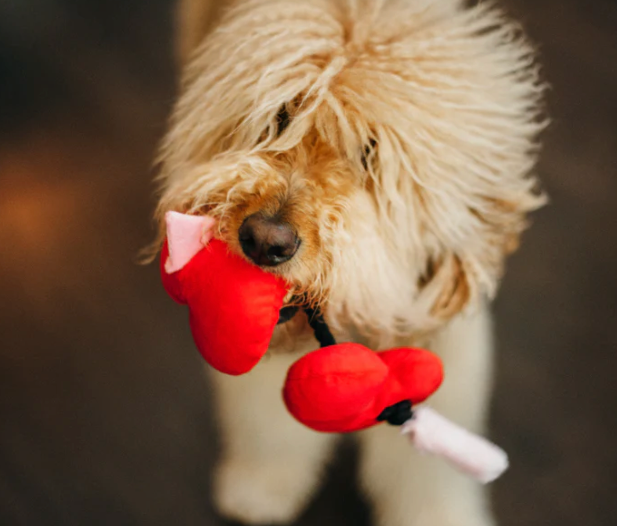 Fur-ever love hearts rope dog toy