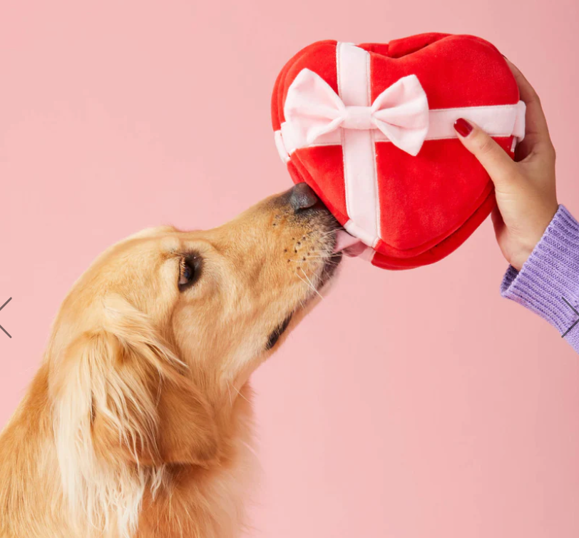 Be My Valentine Interactive Snuffle Dog Toy