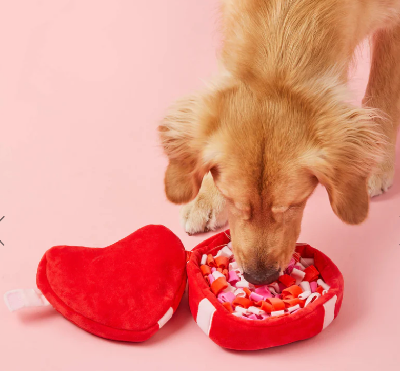 Be My Valentine Interactive Snuffle Dog Toy