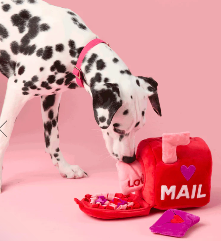 Love Letters Interactive Snuffle Dog Toy