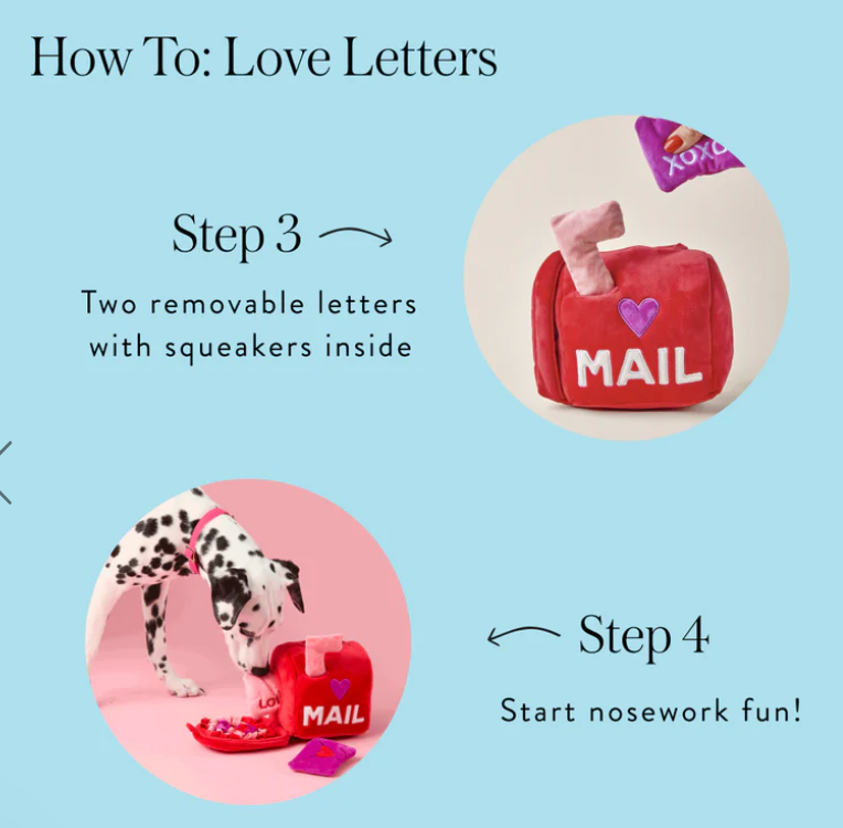 Love Letters Interactive Snuffle Dog Toy