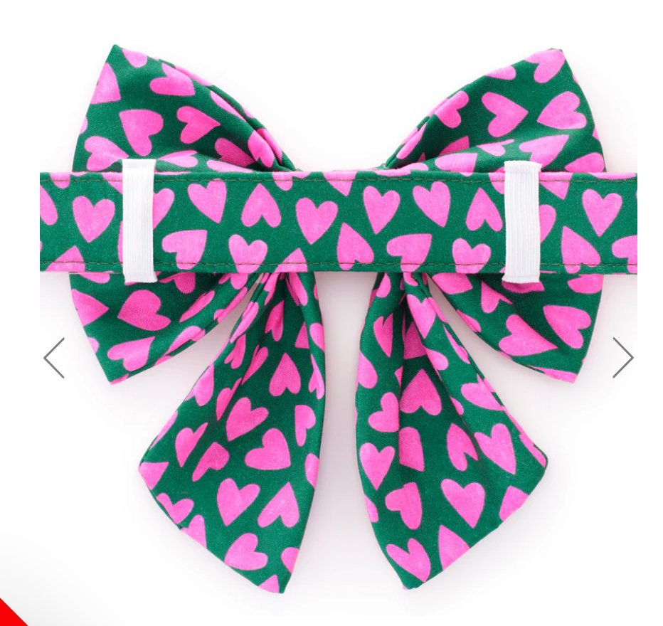 Lovestruck Lady Dog Bow