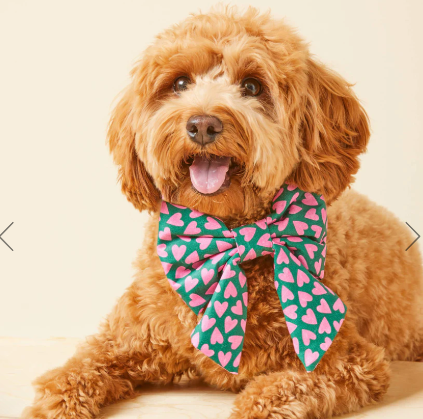 Lovestruck Lady Dog Bow