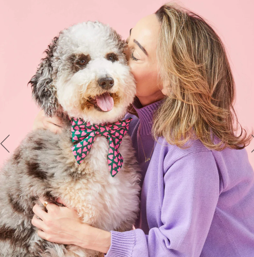 Lovestruck Lady Dog Bow