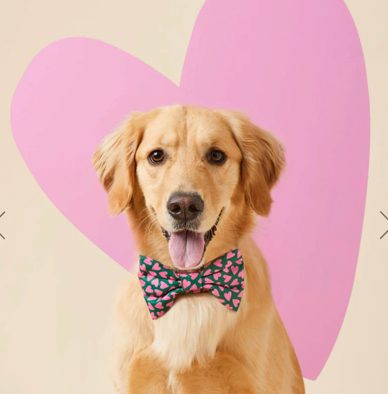 Lovestruck Dog Bow Tie