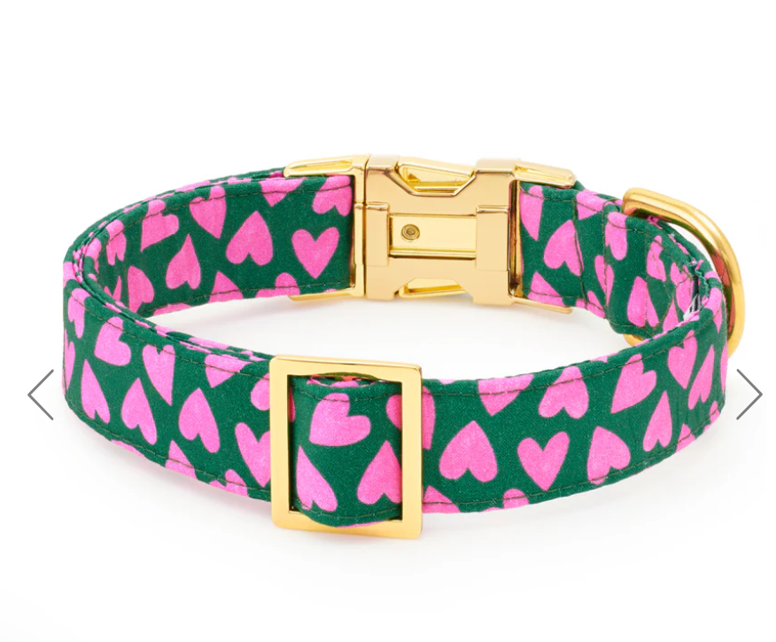 Lovestruck dog collar