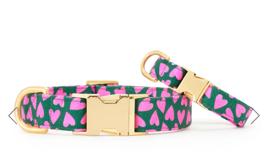 Lovestruck dog collar