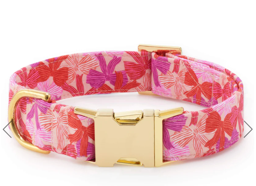 Take a Bow Dog Collar